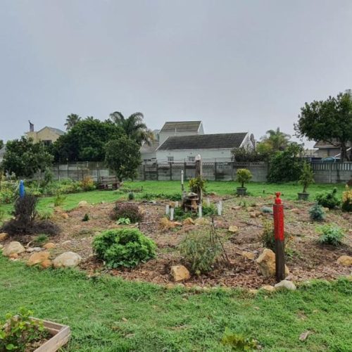 WhatsApp Image 2023-05-08 at 10.35.47