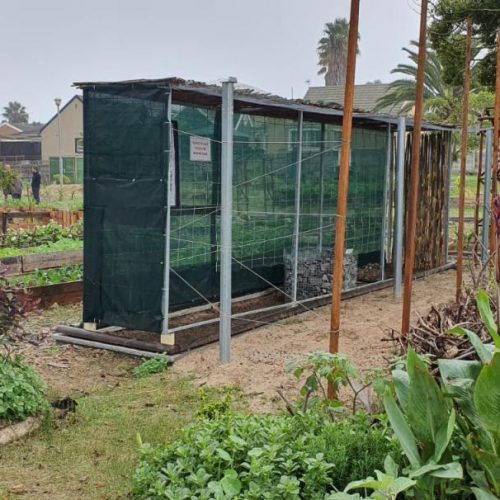 WhatsApp Image 2023-05-08 at 10.36.17