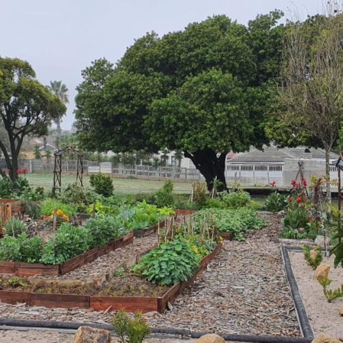 WhatsApp Image 2023-05-08 at 10.38.01 (1)