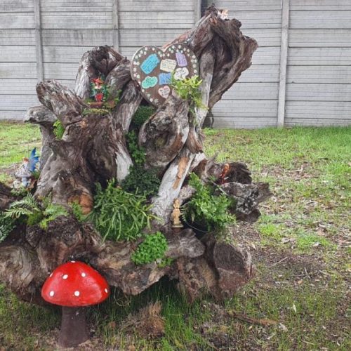 WhatsApp Image 2023-05-08 at 10.41.25