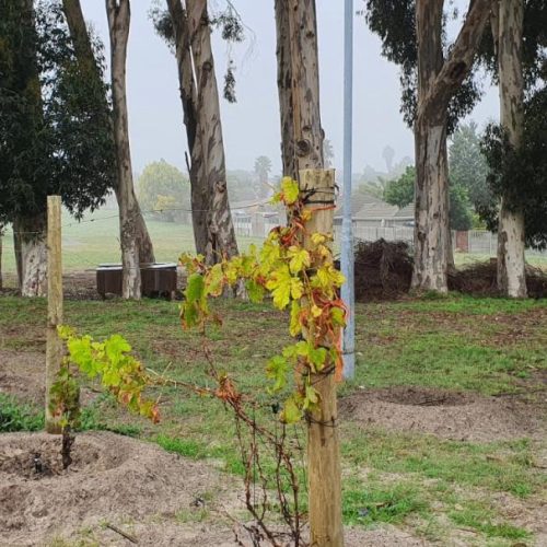 WhatsApp Image 2023-05-08 at 10.42.28